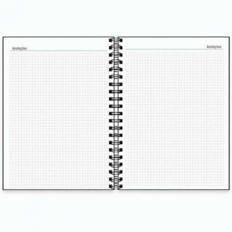 Caderno Executivo Indaiatuba - Caderno Executivo Pato Branco
